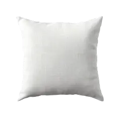 Химчистка кожаных подушек